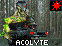 Acolyte