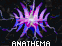 Anathema