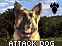 Attack Dog