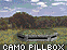 Camo Pillbox