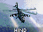 Hind