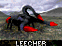 Leecher