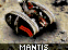 Mantis