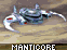 Manticore