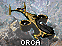 Orca