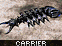 Planetary Assault Carrier