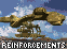 Reinforcements