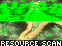 Resource Scan