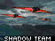 Shadow Team