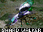 Shard Walker