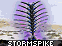 Stormspike
